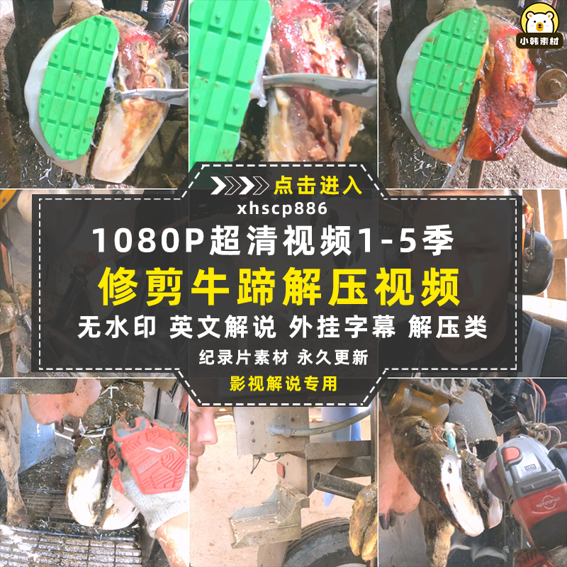 生活解压治愈纪录片修剪牛蹄1-5季中视频自媒体解说高清视频素材插图