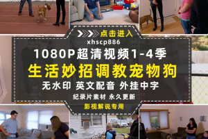 生活妙招纪录片调教宠物狗技巧1-4季自媒体快手抖音视频剪辑素材