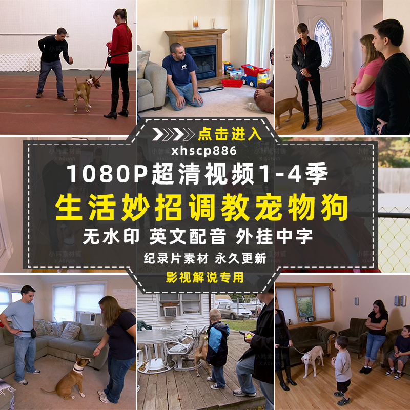 生活妙招纪录片调教宠物狗技巧1-4季自媒体快手抖音视频剪辑素材插图