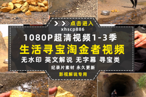 生活寻宝纪录片淘金者中字1080P 1-3季中视频自媒体解说视频素材