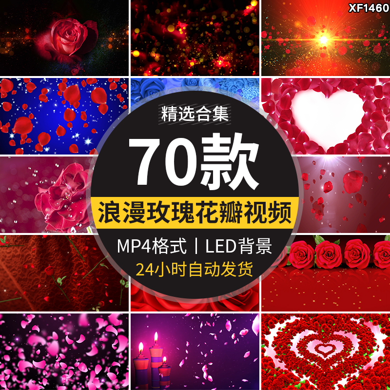 唯美玫瑰花瓣浪漫婚礼情人节表白求婚舞台LED大屏幕背景视频素材插图