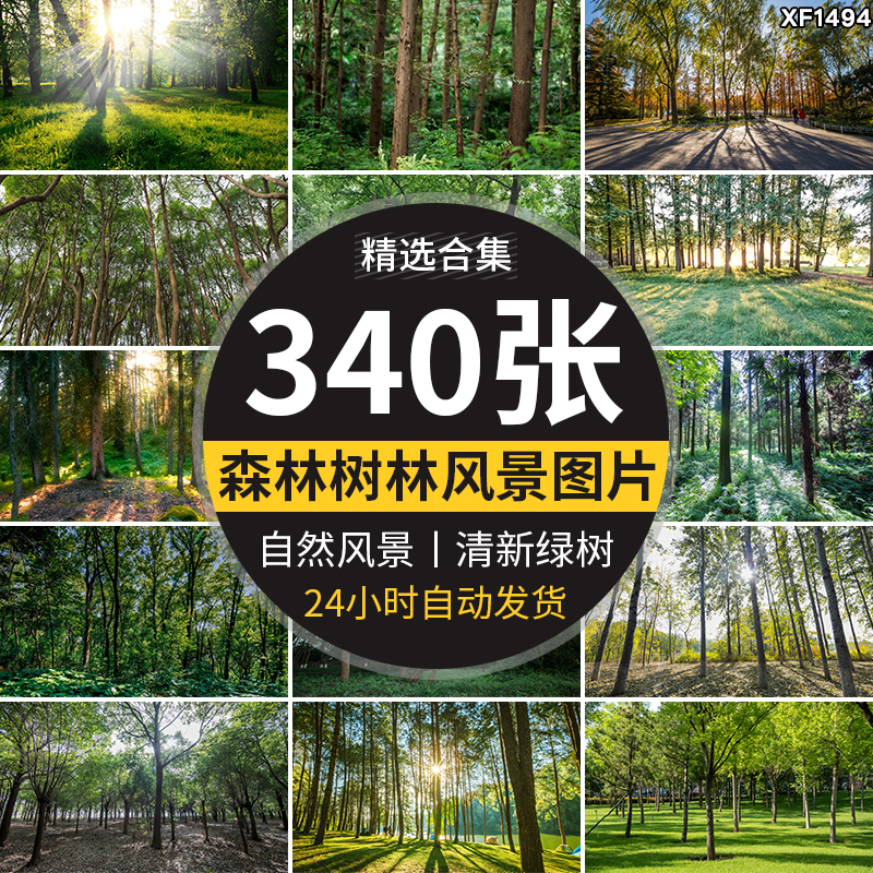绿色森林树林小路唯美绿叶绿树大树清新风景抖音图片高清设计素材插图