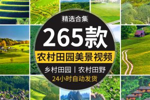 竖屏版农村田园美景农家田野田地乡村治愈系清新绿色抖音视频素材