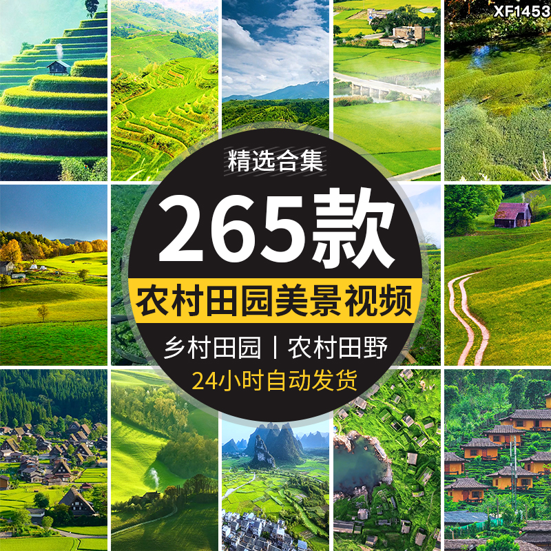 竖屏版农村田园美景农家田野田地乡村治愈系清新绿色抖音视频素材插图