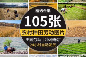 农村田园种地乡村种田插秧农耕春耕播种丰收劳动抖音图片设计素材