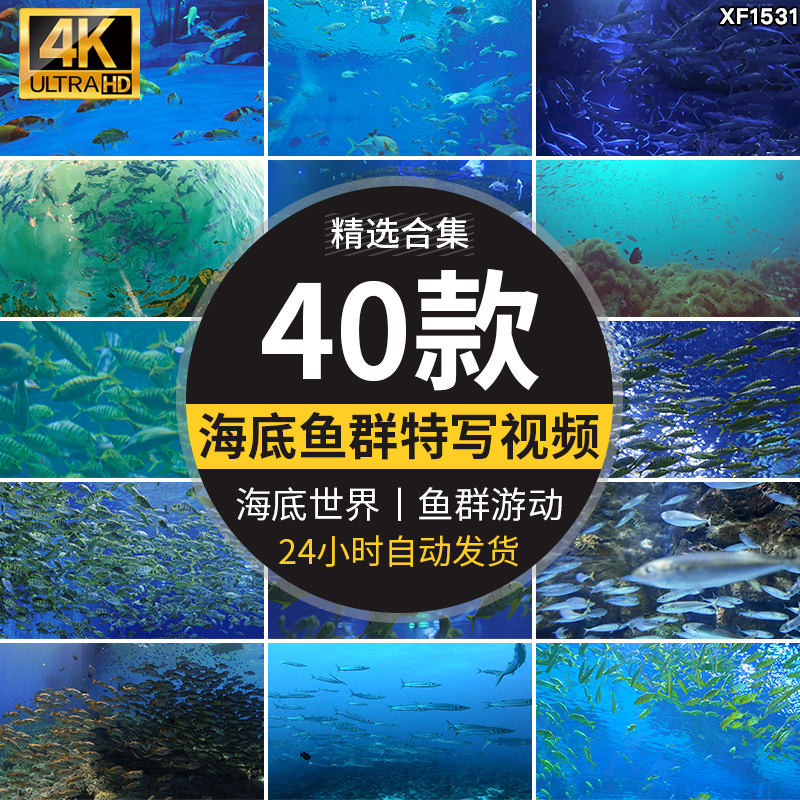 海底世界美景鱼群成群游动观赏鱼海洋馆特写实拍抖音剪辑视频素材插图