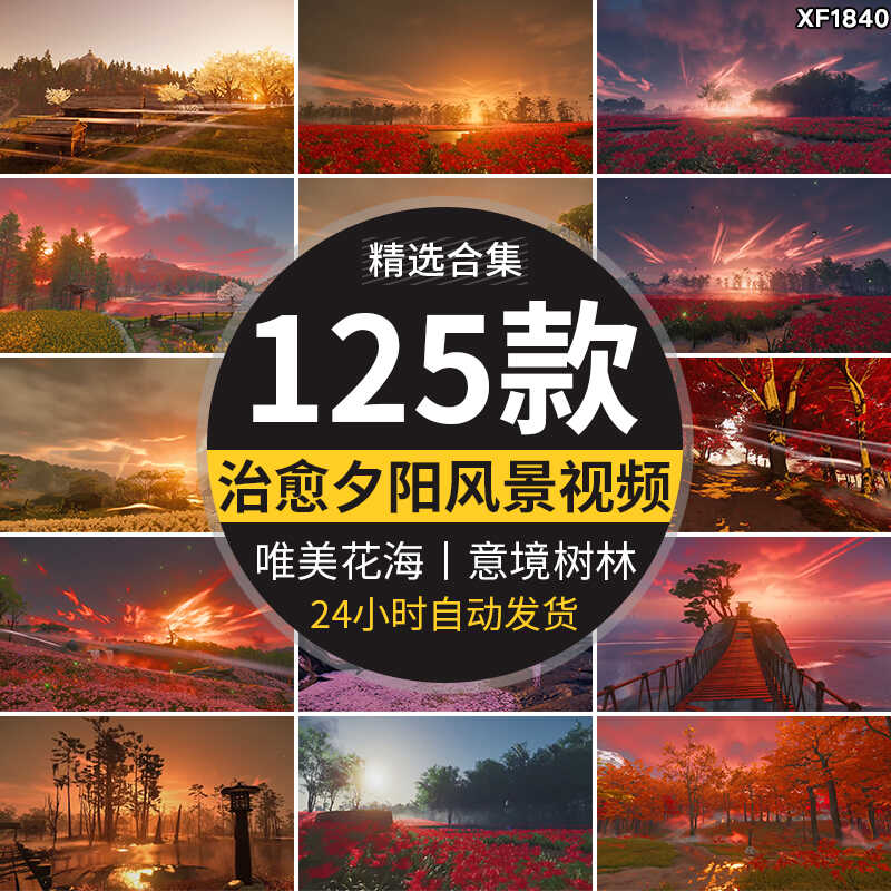 治愈系风景色唯美花海夕阳意境树林自媒体快手抖音动态短视频素材插图