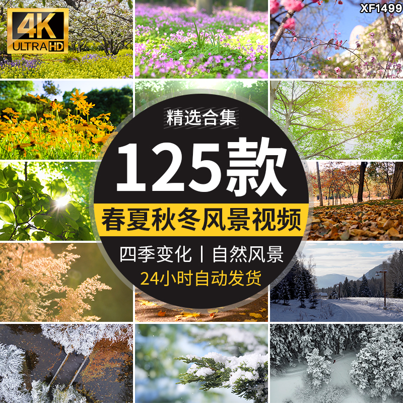 四季植物天气变幻变化季节交替春夏秋冬季抖音高清剪辑短视频素材插图