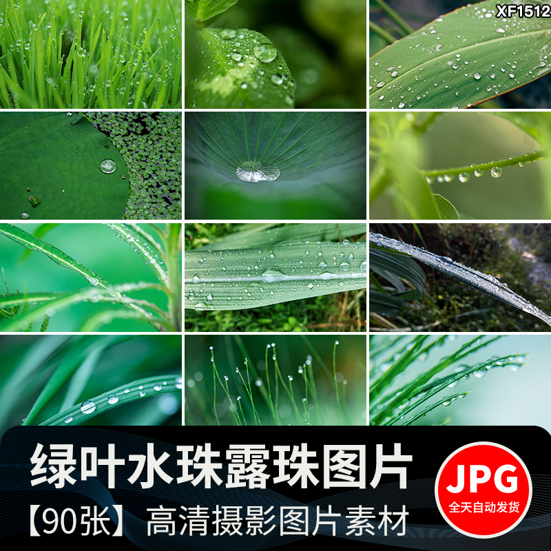 水珠清新绿色露珠露水青草小草叶子雨后水滴JPG高清图片设计素材插图