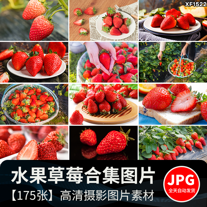 新鲜水果草莓特写草莓园果蔬美食高清实拍摄影照设计背景图片素材插图