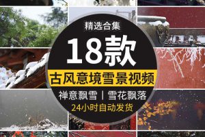 禅意下雪飘落意境屋檐雪景雪花飘落飘雪空镜头实拍剪辑短视频素材