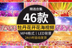 富贵牡丹花开盛世喜庆花海民族舞蹈舞台演出开场LED背景视频素材