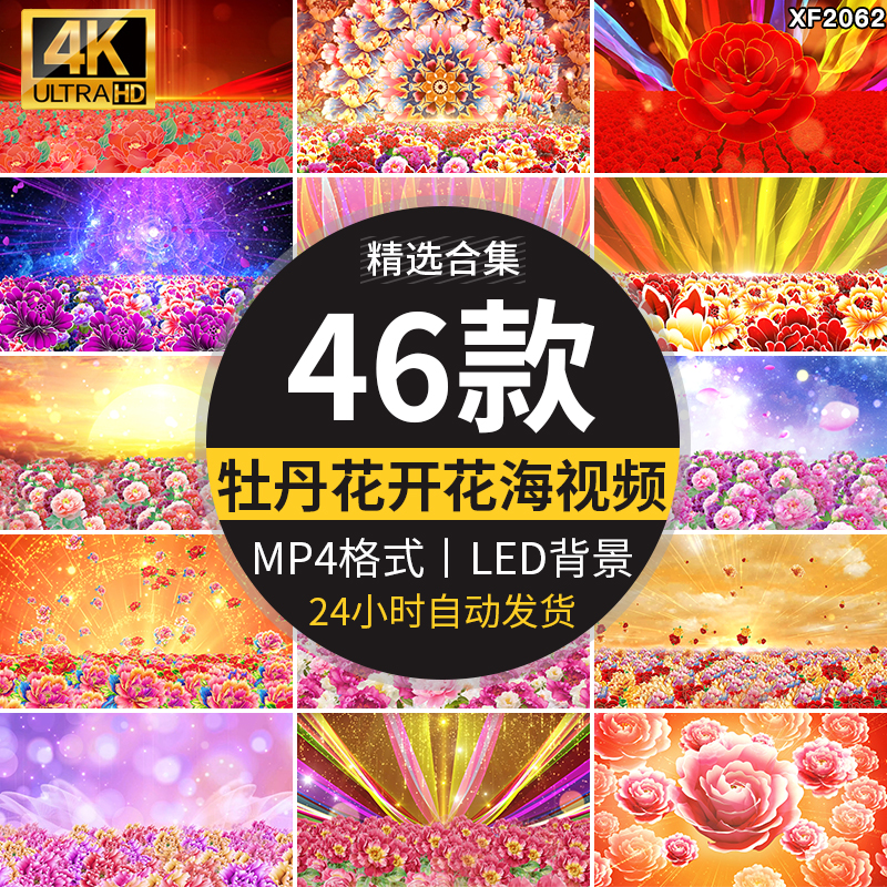 富贵牡丹花开盛世喜庆花海民族舞蹈舞台演出开场LED背景视频素材插图