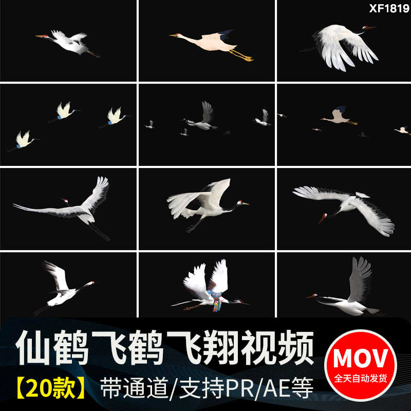 白色仙鹤飞鹤群鹤飞翔带alpha透明通道ae_pr后期合成特效视频素材插图