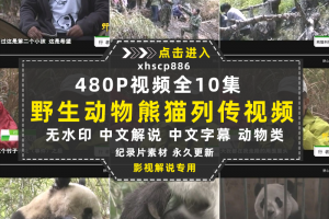 野生动物保护纪录片熊猫列传全10集中视频自媒体解说高清视频素材