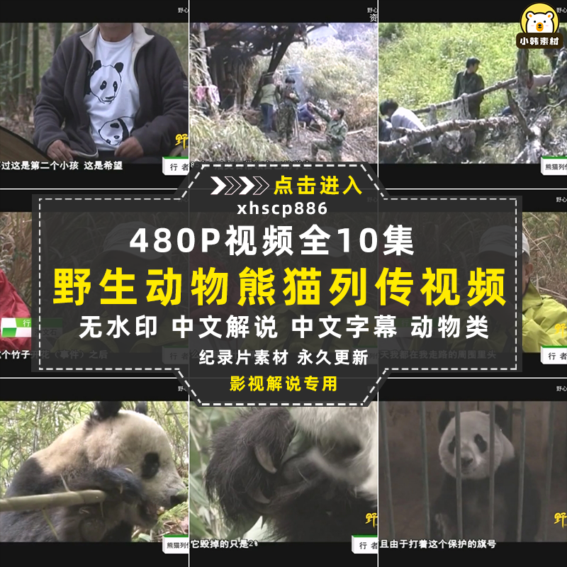 野生动物保护纪录片熊猫列传全10集中视频自媒体解说高清视频素材插图