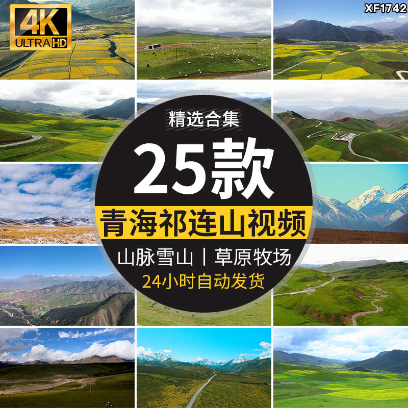 青海祁连山山脉雪山自然风光草原牧场油菜花景观高清实拍视频素材插图