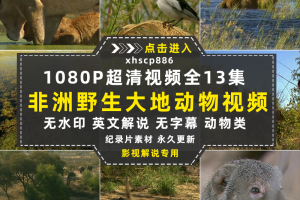 野生动物纪录片非洲野生大地中视频自媒体解说高清剪辑视频素材