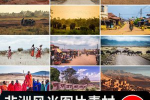 非洲景观风光旅游自然风景大象草原动物人文沙漠照片JPG图片素材