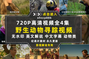 BBC野生动物寻踪纪录片娜奥米的自然恶梦中视频自媒体视频素材