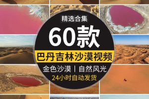 内蒙古巴丹达格图红海子湖景湖泊金色沙漠沙丘地貌航拍短视频素材