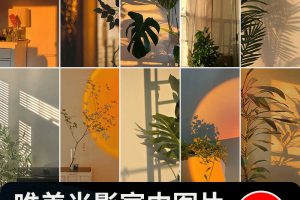 光影氛围室内唯美落日暖光打灯光抖音虚拟直播间背景绿幕图片素材