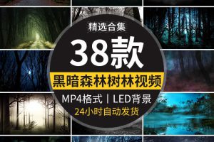 黑暗森林迷雾阴森恐怖幽静树林万圣节晚会大屏幕LED背景视频素材