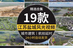江苏北盐城城市建筑夜景地标地区风光麋鹿园高清航拍实拍视频素材