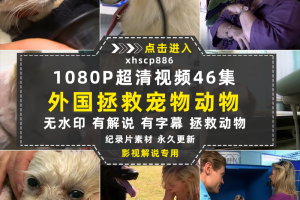 拯救动物纪录片邦迪宠物医院1080P自媒体电影解说抖音短视频素材