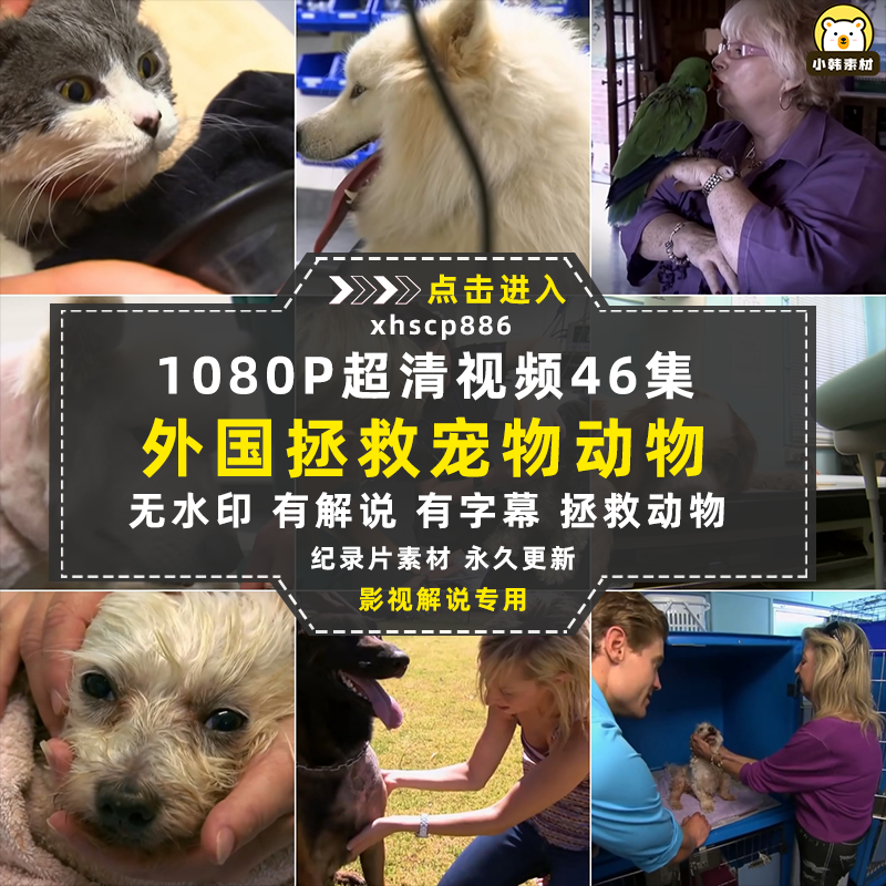 拯救动物纪录片邦迪宠物医院1080P自媒体电影解说抖音短视频素材插图
