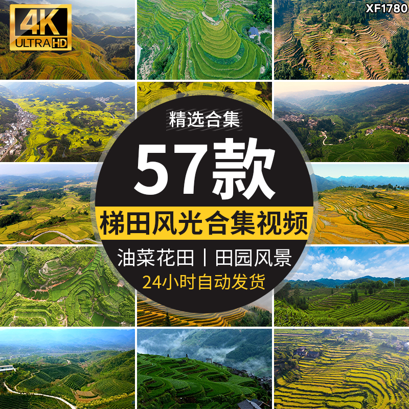 农村田园梯田自然风光油菜花田美景乡村农田高清实拍航拍视频素材插图