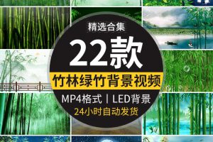 竹林竹子绿竹水墨山水古风苗族山歌傣族舞蹈舞台LED背景视频素材