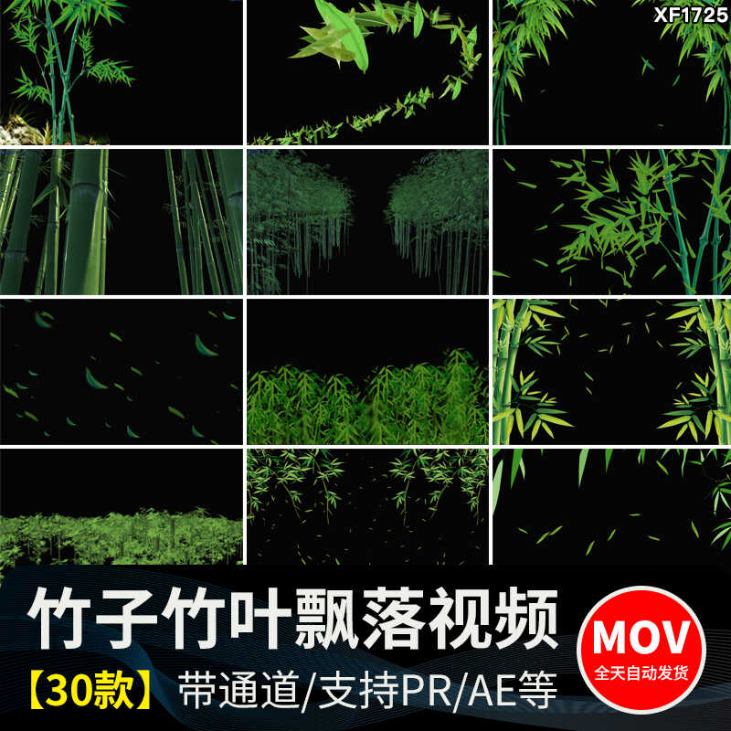 竹叶飘落竹子竹林绿色叶子落叶树叶散落MOV透明通道pr_ae视频素材插图