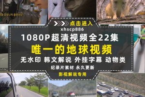 EBS动物生态保护纪录片全22集中视频自媒体解说高清剪辑视频素材