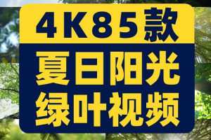 4K夏日阳光绿叶空境树叶小清新风景素材高清自然治愈系短视频背景