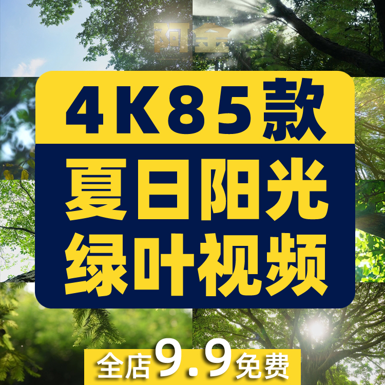 4K夏日阳光绿叶空境树叶小清新风景素材高清自然治愈系短视频背景插图