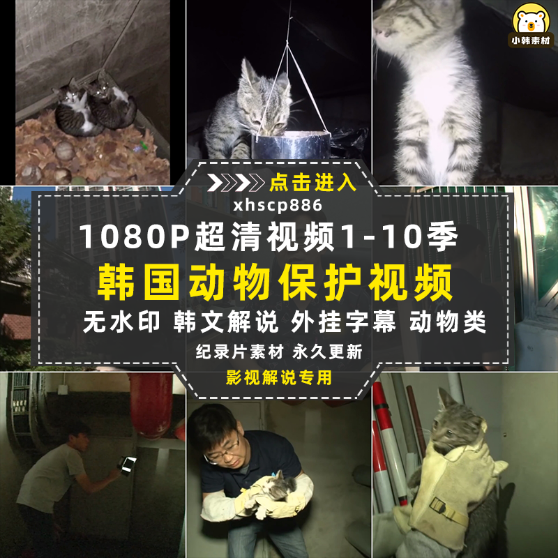 SBS韩国动物保护纪录片拯救动物1-10季中视频自媒体解说视频素材插图