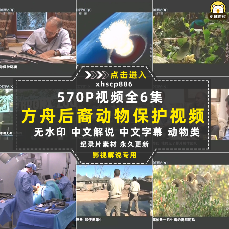 野生动物保护纪录片方舟后裔全6集中视频自媒体解说高清视频素材插图