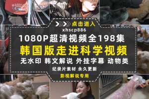 SBS韩国版走近科学纪录片天啊,这到底是什么动物中视频自媒体素材