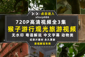 BBC动物探索纪录片猴子大观全3集中视频自媒体解说高清视频素材