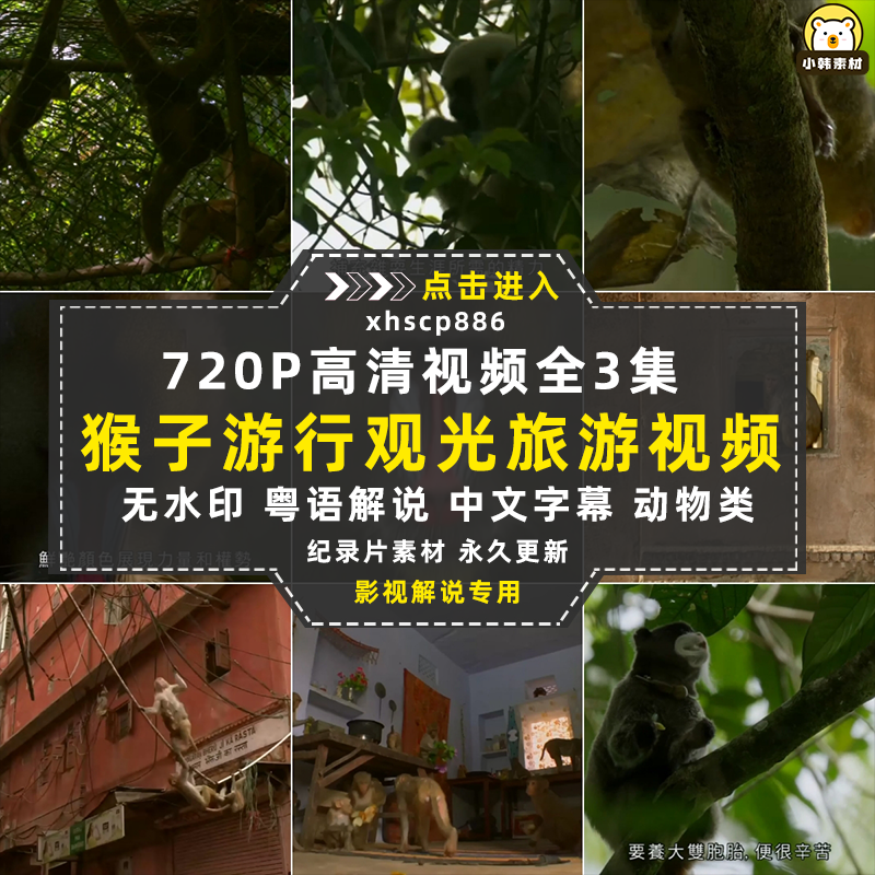 BBC动物探索纪录片猴子大观全3集中视频自媒体解说高清视频素材插图