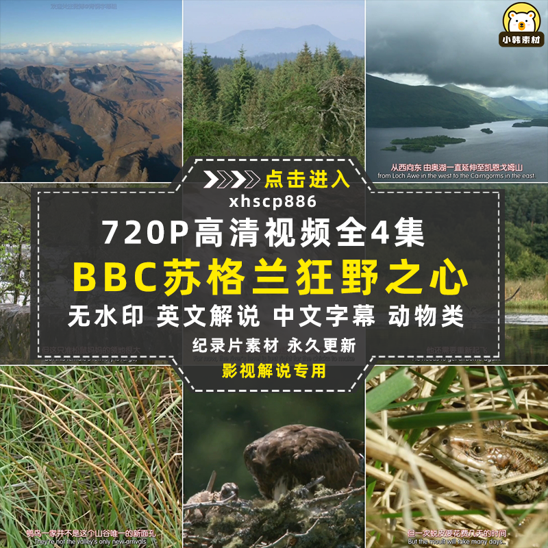BBC野生动物纪录片高地苏格兰狂野之心中视频自媒体解说视频素材插图