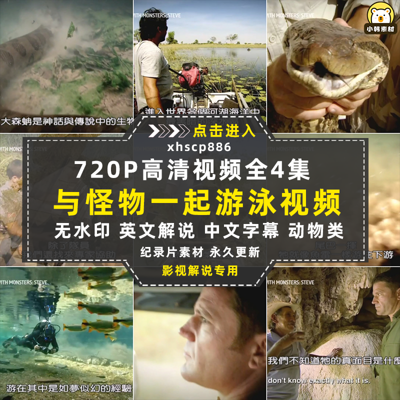 野生动物研究纪录片与怪物一起游泳中视频自媒体解说高清视频素材插图