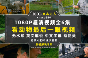 BBC珍稀动物保护纪录片最后一眼全6集中视频自媒体解说视频素材