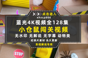 宠物趣味行为纪录片小仓鼠闯迷宫1-3季中视频自媒体解说视频素材