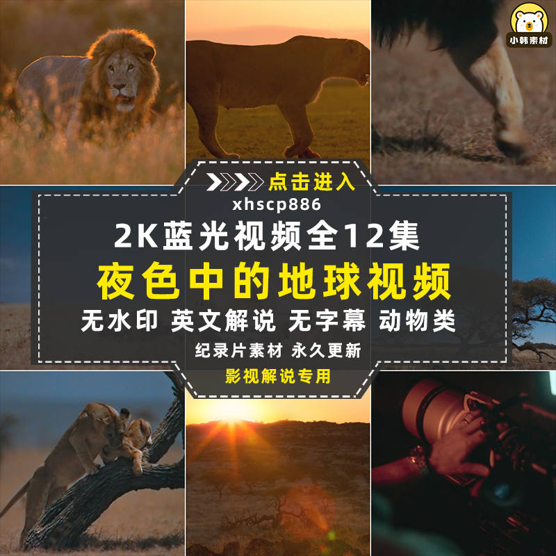 野生动物纪录片夜色中的地球1-2季中视频自媒体解说高清视频素材插图