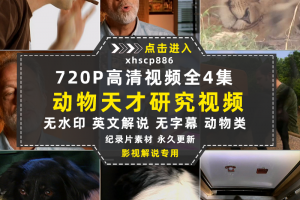 国家地理动物研究纪录片动物天才全4集中视频自媒体解说视频素材