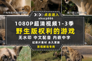 野生动物版权利的游戏野蛮王国1-3季自媒体快手抖音视频剪辑素材