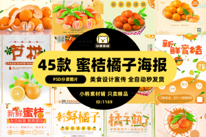 美食餐饮海报PSD模板桔子橘子芦柑水果促销宣传单广告设计素材