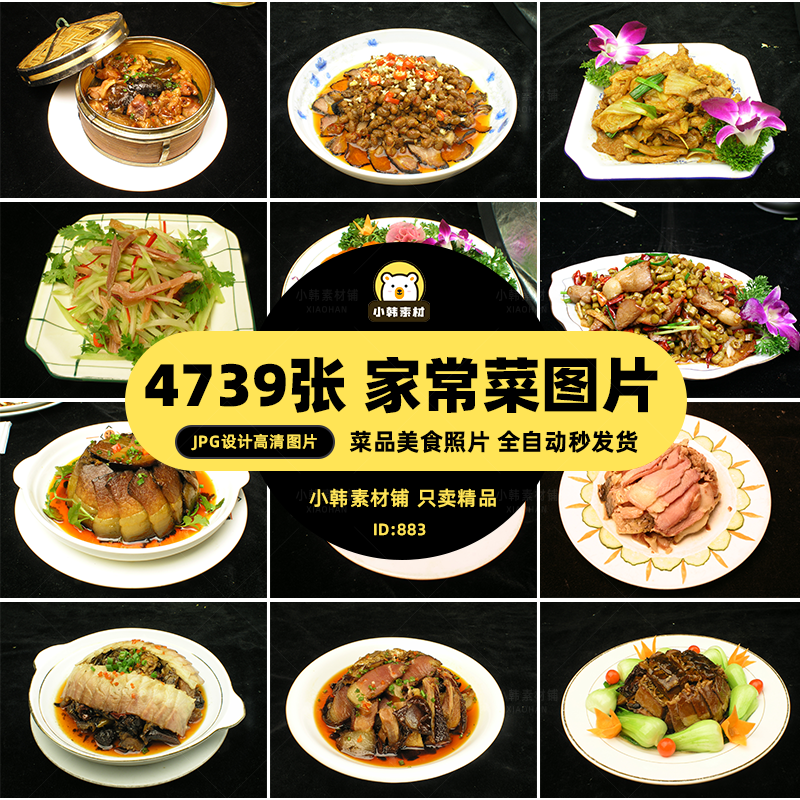 高清美食菜谱菜品JPG图片家常菜图库电商广告设计美工素材插图